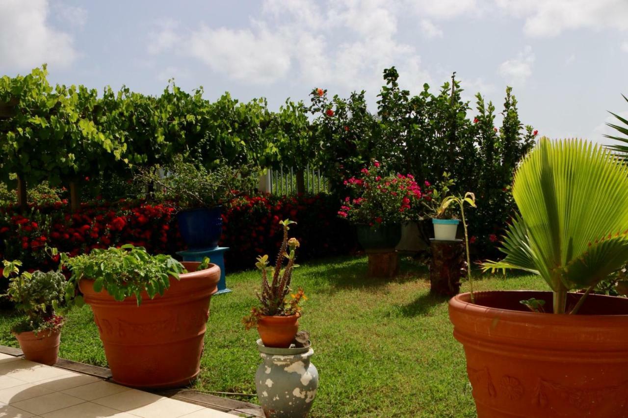 Bed & Breakfast 6 Suites Piscine Et Plage Pointe Faula Le Vauclin Exteriér fotografie