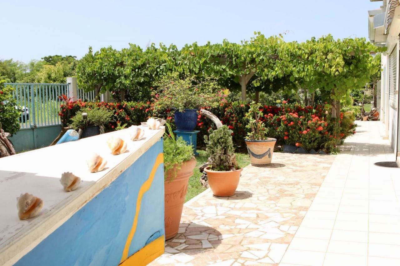 Bed & Breakfast 6 Suites Piscine Et Plage Pointe Faula Le Vauclin Exteriér fotografie